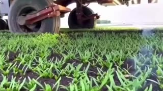 AI BASED LASER PESTICIDE AND HERBICIDE