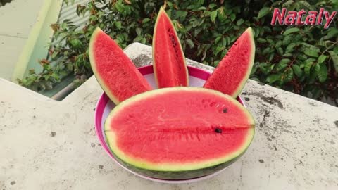 Growing Watermelon Lying in a Hammock