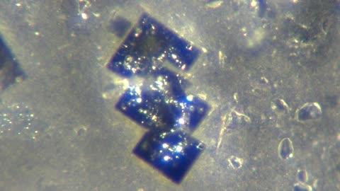 5G Nanochip found in the Pfizer covid vaccine under 200x magnification proof