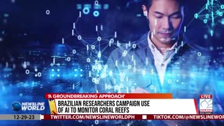 Brazilian researchers campaign use of AI to monitor coral reefs