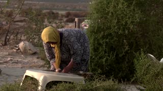 Drought endangers Tunisian nomads' way of life