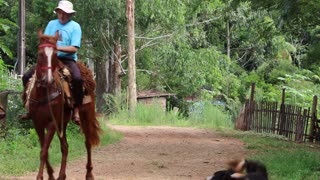 Grandfather Ride Horse Along Side Rocky Dog And Grandchild