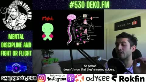 [CLIP] Tin Foil Hat Podcast 531 DekoFM