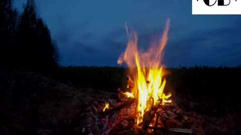 I made a 🔥 Campfire Ambience with other sound you hear on nature. Made for Relaxation & Sleep, Enjoy