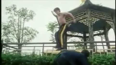 best fights scenes of chinese kungfu movies