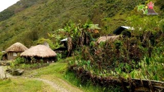 10 TOURIST PLACES IN PAPUA PAVORITE TOURISTS