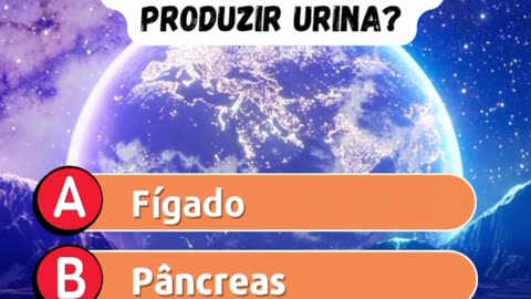 QUIZ! (Parte 13) #quiz