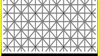There are 12 dots in this image.your eyes won't be able to recognize them all at once.