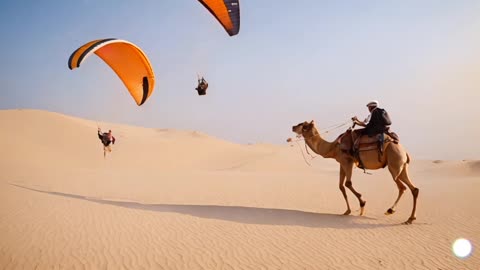 CAMEL RIDE AND PARAGLIDING IN DUBAI DESERT SAFARI