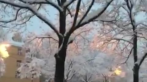 See this viral video of winter season in Munich