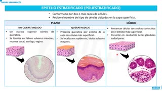 ANUAL ADUNI 2023 | Semana 27 | Biología | Química S2 | Aritmética S2