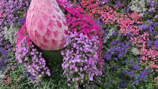 Take a moment to enjoy the beautiful flowers at the Dubai Miracle Garden in UAE.