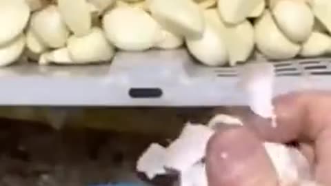 How to peel garlic