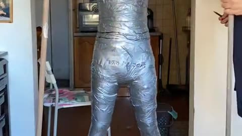 3 hours #DTD for an #husky #fursuit #ducttapedummy duct tape dummy