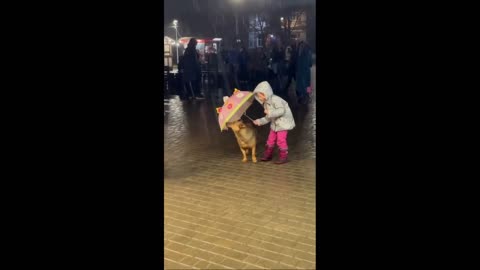 Five Year Old Girl Protects Dog From Rain With Umbrella