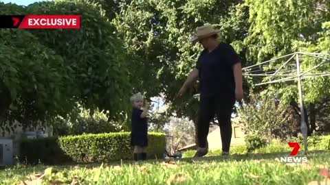 Two-year-old NSW boy survives being bitten by snake twice | 7NEWS