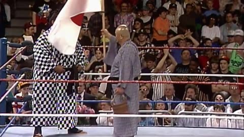 wwf wrestling 1993