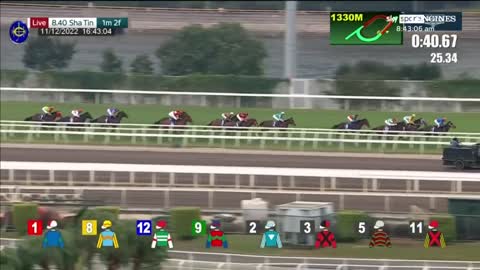 Romantic Warrior is INCREDIBLE in the Hong Kong Cup!