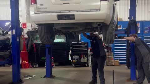 Technician Removes Raccoon From Under SUV