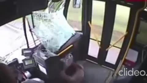 Dashcam A Deer Hit The Bus and Can't Get Out