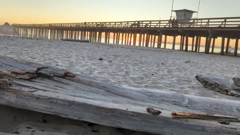 Thanksgiving 2022 at Seacliff State Beach