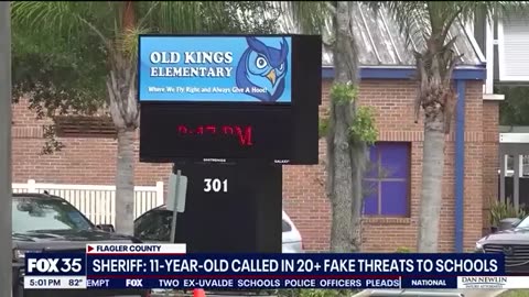 FLORIDA FLAGLER COUNTY Virginia child arrested after making 20 swatting calls,
