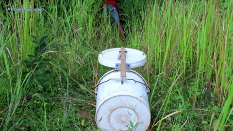 Simple Wild Cat Trap - Wild Cat Trap Using Plastic container