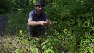 Self-Heal - a MIGHTY little helper