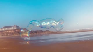 Giant Beach Bubble Creature