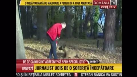 Mihai Nae @ Stirile Romania TV - Despre cazurile de agresivitate fata de stapan