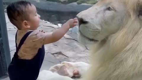 OMG! LITTLE BOY TOUCHING THE LOIN .