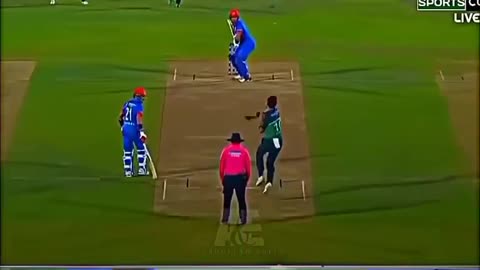 Pak vs Afg 2023