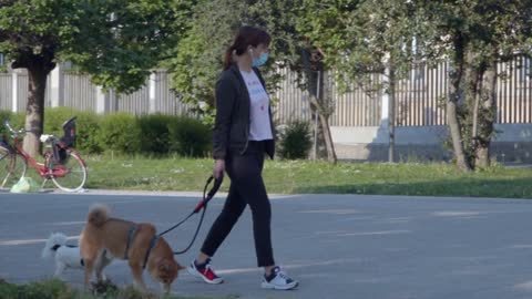 Woman Walking Her Dogs Pets In Milan, Italy City Park During Coronavirus Emergency