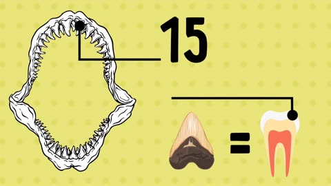 17 Jaw-Dropping Facts You Didn't Know About the Body