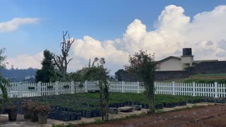 Mountain carrot farm in Nuwara Eliya, Sri Lanka