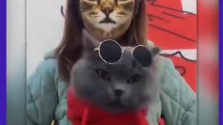 Cat mask application with funny compilation