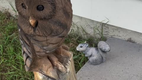 A wonderful wooden statue of an owl with a squirrel in front of a house