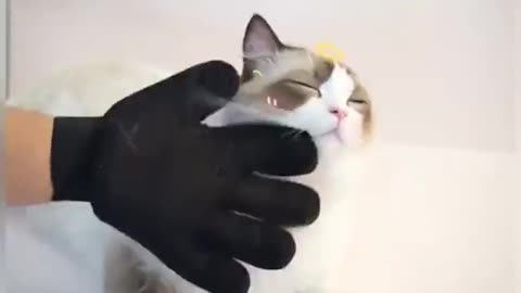 Upgrade Pet Grooming Gloves Cat Brushes for Gentle Shedding