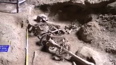 Video showing giant skeletons discovered and not shown worldwide.