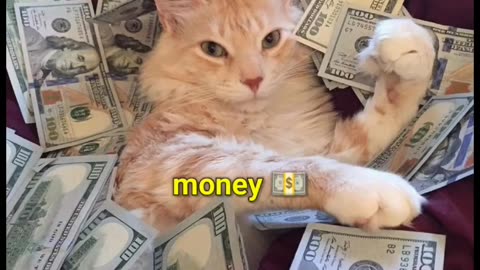 😝😁I am rich I have a many money😂😹