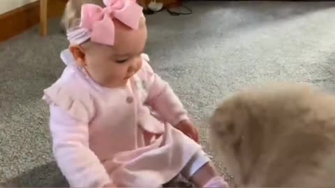 BABY MEETS NEW PUPPY FOR THE FIRST TIME