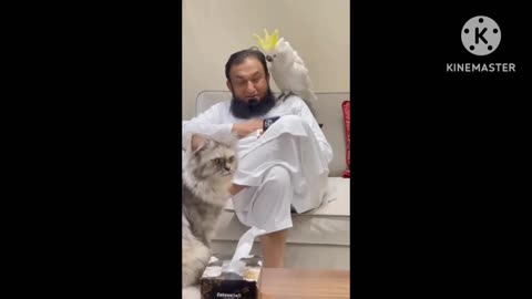 Molana tarak jamil animal videos