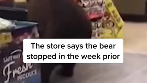 This bear wandered into a grocery store in North Carolina