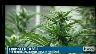 TEXAS - MARIJUANA COMPASSIONATE USE ACT