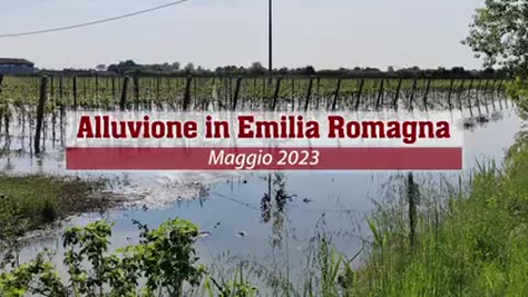 Alluvione in Emilia Romagna - testimonianze dirette