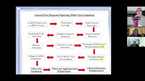 Breaking Bombshell report Greg Harrison presentation part 2 on how white clots are formed