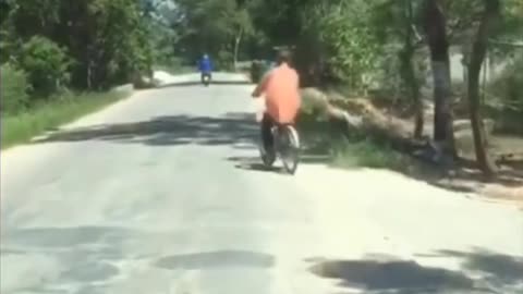 Young people riding bicycles hit a hammock on the road to receive a bitter ending