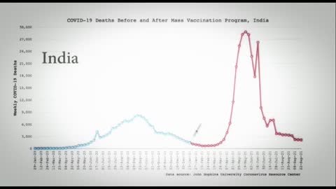 The "Vaccines" Kill People