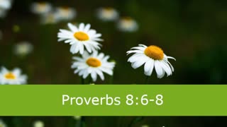 1 Minute -- Proverbs 8 Devotional -- March 8, 2023