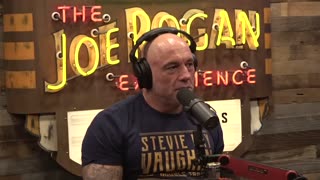 JRE Clips | Looking at Monkeys Riding Dogs, Drop Kicking People in India, and Fighting Over Food